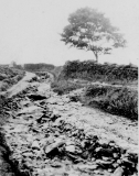 ListerWellLnflood1932