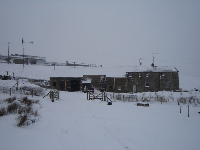 LBH in the snow