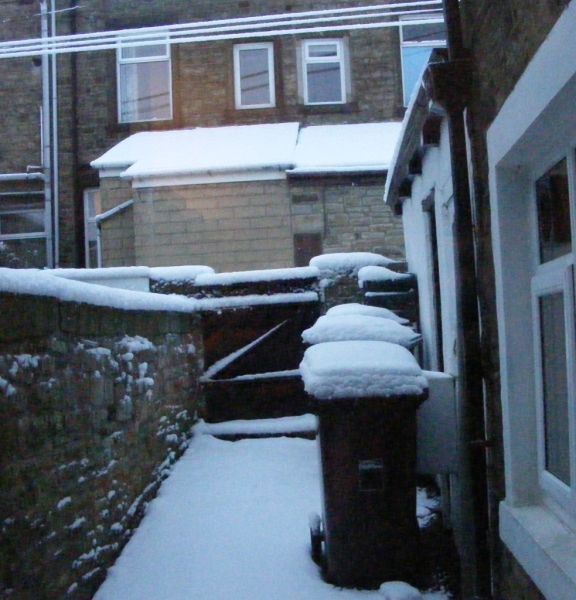 Snow20130121A