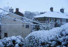 Snow20130121B