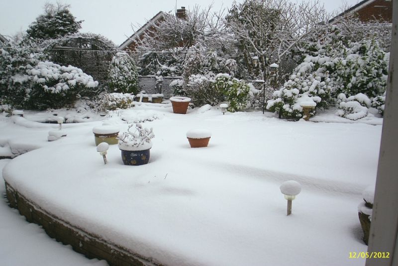 snow 2013 001