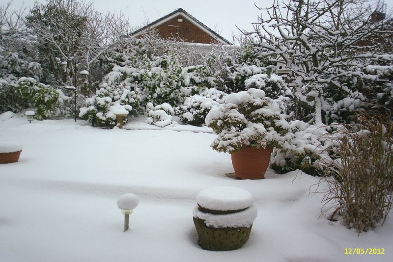 snow 2013 003