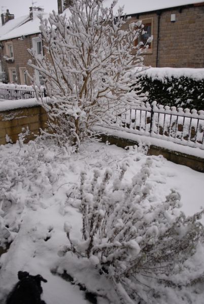 SNOW 21012013