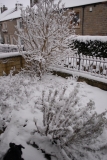 SNOW 21012013