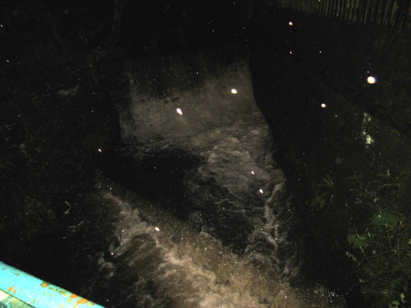 Butts Beck 081218