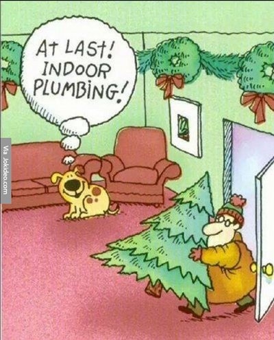Dog cartoon