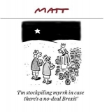 Myrrh Xmas cartoon from Telegraph