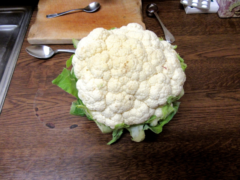 Cauliflower 231218