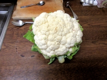 Cauliflower 231218