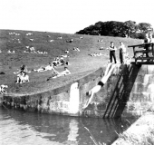 Greenberfield011958