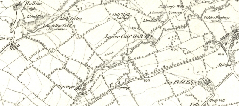 Esp Lane and Calf Hall 1853 OS