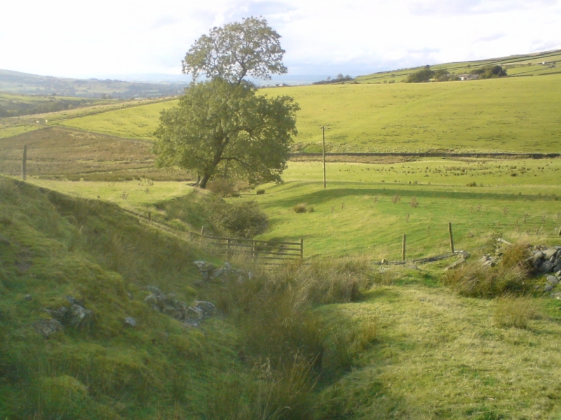 Old pathway Harden