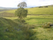 Old pathway Harden