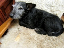 Jack 250219