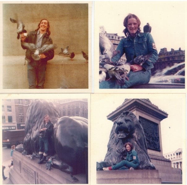 Lions and Pigeons