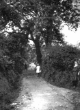 EarbyOld Lane