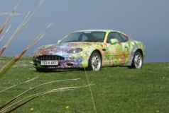 Car on lawn at the hotel in Tintagel