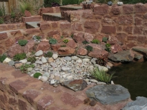 Tizer's pond, left side, May 2019