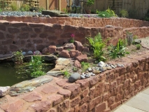 Tizer's pond, right side, May 2019