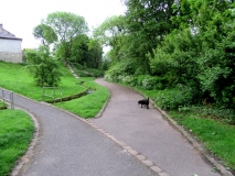 Valley Gardens 010619