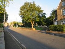 Town Green 02 220619