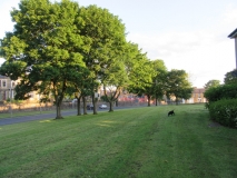 Town Green 01 220619