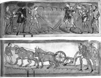 Medieval farming