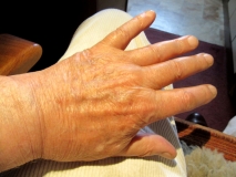 Hand 200719