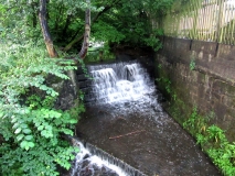 Butts dam 240719
