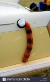 tiger-in-your-tank