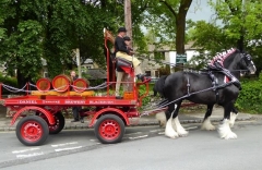 Thwaite's Brewery Horses