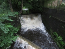 Butts Dam 110819