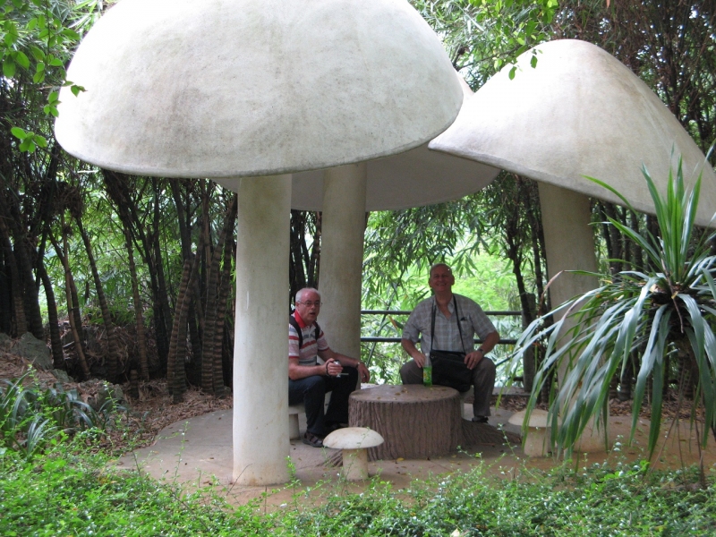 mushroom