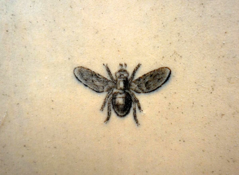Fly on Urinal