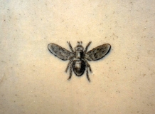 Fly on Urinal