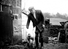 LGandboarHeyFarm1960s