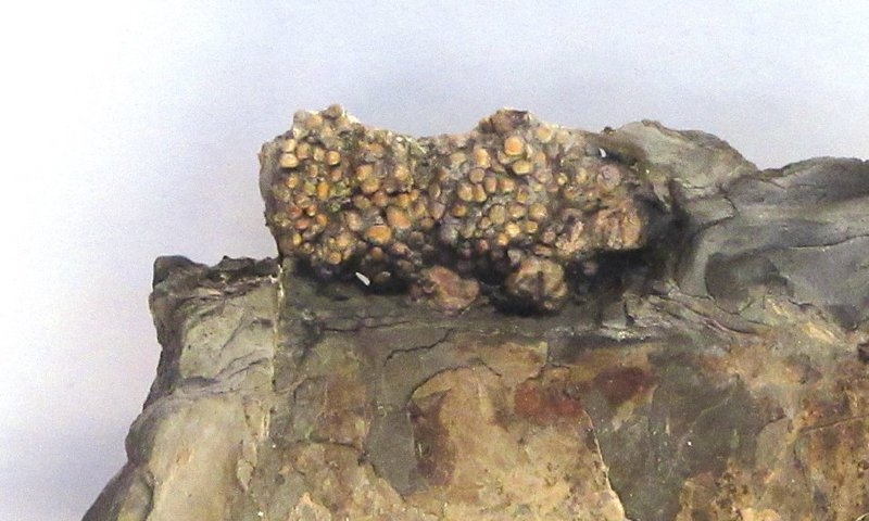 Tizer's mystery object 07/10/19