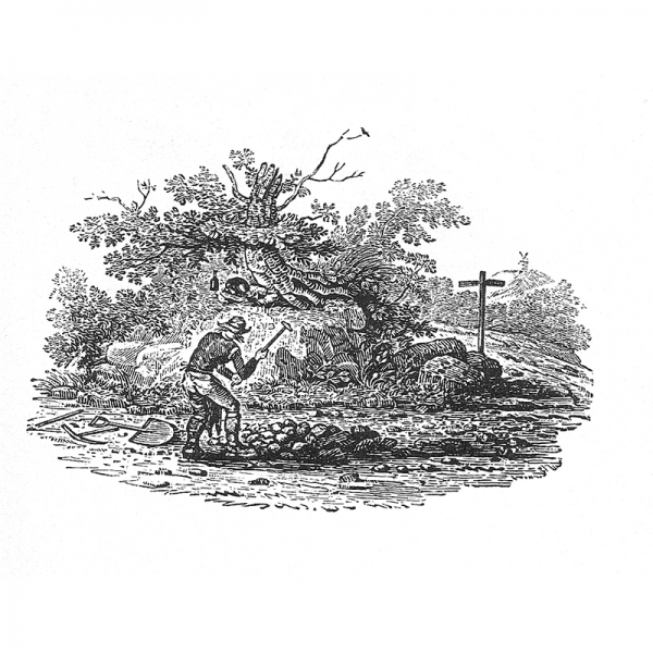 Bewick Stonebreaker knapping
