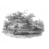 Bewick Stonebreaker knapping