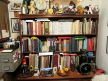Bookcase in kitchen