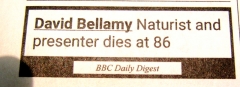 PE on Bellamy