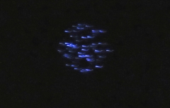 LED balloon January 2020