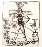 Galileo's Anatomy Zodiac