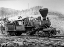 Wood burning locomotive