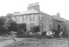 FarNewfieldEdge1900