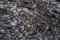 Mystery Object 745