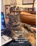 Cat photo during Covid lockdown