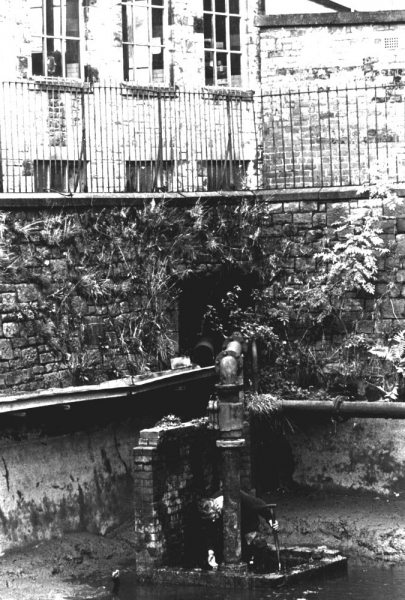 SGindam at Bancroft