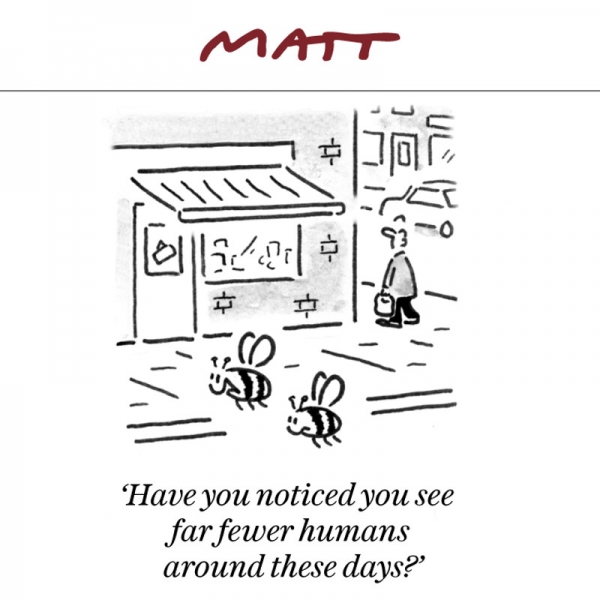 Matt cartoon 250420