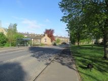 Sunny Barlick 01 020520
